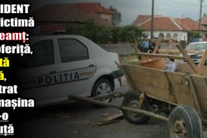 Accident cu victimă în Neamţ: O şoferiţă, beată criţă, a intrat cu maşina într-o căruţă