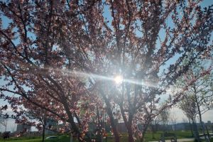 #ConstantaEsteBine: 15 aprilie 2026. Mijloc de saptamana de aprilie