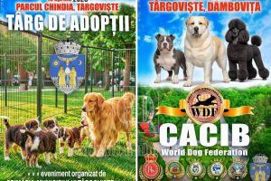 Târgoviştea găzduieşte, în weekend, o expoziţie internaţională de câini şi un nou târg de adopţii