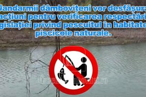 Pescuitul în perioada de prohibiţie costă scump: Sancţiuni dure aplicate pe cursurile de apă din Dâmboviţa