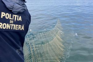 FOTO+VIDEO. Operatiune de salvare in Marea Neagra: 750 de metri de plase de braconaj confiscate si cinci sturioni eliberati 