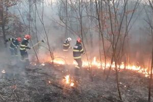 17 hectare mistuite de flăcări la Văliug