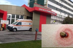 Avertizare în judeţul Olt: zeci de persoane înţepate de căpuşe de la începutul anului