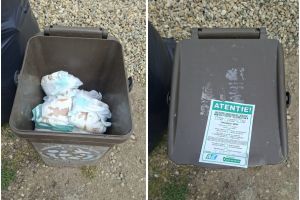 Ce deşeuri pot fi aruncate în pubela maro şi ce greşeli trebuie evitate