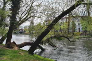 Ministerul Mediului vrea să prevină inundaţiile prin „soluţii verzi”