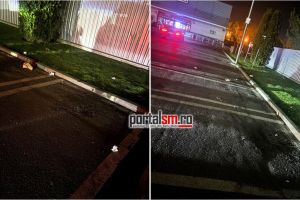 FOTO. Degeaba sunt coşuri de gunoi: parcare plină de mizerii şi ambalaje aruncate la întâmplare, în Satu Mare