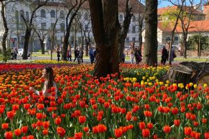 Ce facem astăzi, 16 aprilie 2026, în Timişoara?