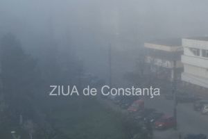 Cod galben de ceata in judetul Constanta