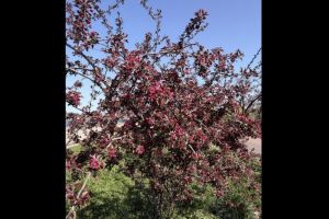 #ConstantaEsteBine: 16 aprilie 2026. Zi de joi, eficienta pentru orice fel de actiuni si proiecte concrete