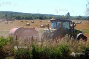 Fermierii români cer măsuri urgente pentru reducerea costurilor şi asigurarea accesului la îngrăşăminte, energie şi finanţare