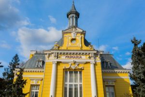 A fost stabilit numărul maxim de posturi din Primăria municipiului Botoşani. Câţi angajaţi va avea instituţia de la 1 iulie!