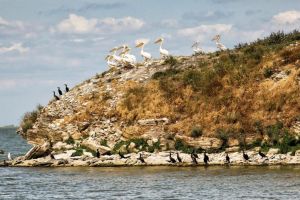 Jurilovca, in cursa pentru Destinatia Anului 2026! Anuntul CJ Tulcea 