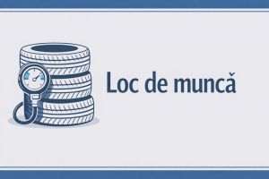 TÂRGOVIȘTE: Firma Bit Invest angajează vulcanizator