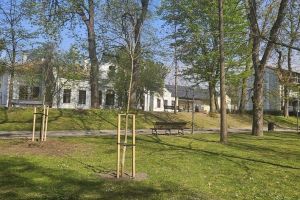 Echipele de la Spaţii Verzi au continuat intervenţiile în oraş