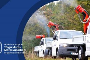 Dezinsecţie în Târgu Mureş