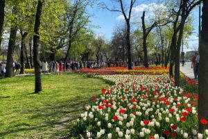 Ce facem astăzi, 17 aprilie 2026, în Timişoara?