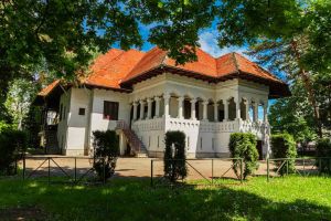 ,,Muzele treze”, o nouă expoziţie vernisată azi, la sediul Muzeului Naţional ,,Constantin Brâncuşi”