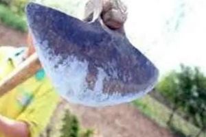 A ajuns în arest, după ce şi-a lovit vecina cu sapa în cap