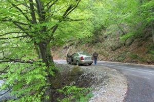 Relieful carstic gorjean – Un veritabil sanctuar al naturii