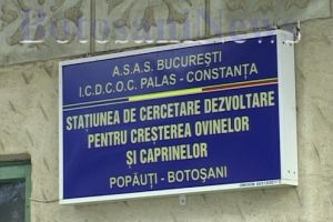 Staţiunea Popăuţi face angajări. Se dau salarii şi de peste 6.000 lei
