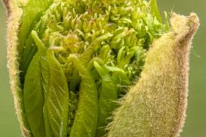 #ConstantaEsteBine: 17 aprilie 2026 Zi de Sarbatoare, Izvorul Tamaduirii in traditia ortodoxa