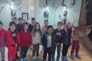 PROGRAM. Ziua Silvicultorului, marcată cu activităţi educative şi demonstraţii la Muzeul Cinegetic Charlottenburg