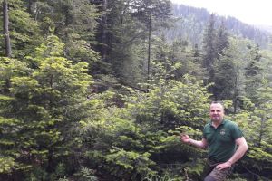 „Să cunoaştem pădurea prin ochii copiilor”, ideea lui Mihai Pop, inginer silvic din Bistriţa Bârgăului