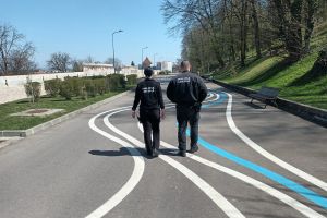Peste 6.500 de amenzi date de Poliţia Locală Braşov în primele trei luni ale anului. Mii de sesizări şi sute de maşini ridicate