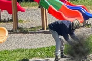 Scene şocante într-un parc din Italia. Bărbat reţinut după ce a gătit o pisică pe un grătar improvizat