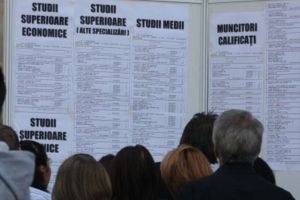 AJOFM Teleorman: 83.61% dintre şomeri provin din mediul rural, 16.39% din mediul urban