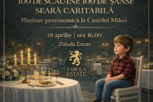 100 de scaune – 100 de şanse: seară caritabilă pentru copiii vulnerabili, la Zăbala