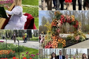 Lunca Argeşului s-a transformat într-un paradis floral. Mii de vizitatori la cel mai spectaculos festival al primăverii