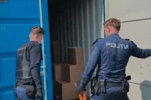 Reţea de ţigări netimbrate, descoperită în Timiş în urma unor percheziţii. O femeie a fot reţinută