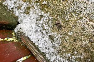 FOTO A plouat cu gheaţă, în această după-amiază, într-o localitate din Botoşani