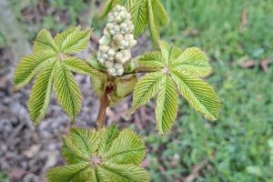 #ConstantaEsteBine: 18 aprilie 2026. Final de saptamana de aprilie, imediat dupa luna noua