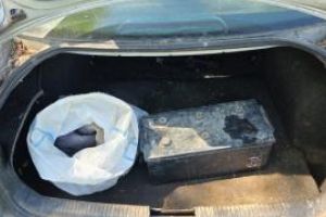 Patru persoane arestate in urma perchezitiilor pentru combaterea braconajului piscicol in judetele Constanta, Tulcea si Ialomita