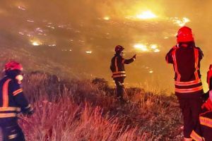 IGSU: peste 142.000 de situaţii de urgenţă gestionate la nivel naţional de pompierii români