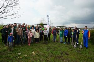 Știri Constanta: FOTO. O noua actiune de plantare a copacilor, desfasurata in comuna Cumpana