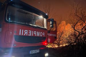 O locuinta a lui Mircea Dinecsu, incendiata! Prejudiciul, aproximativ 100.000 de euro! Politistii au deschis o ancheta