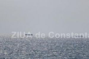 Opt nave petroliere au tranzitat prin Stramtoarea Ormuz! Alte doua ar fi fost atacate