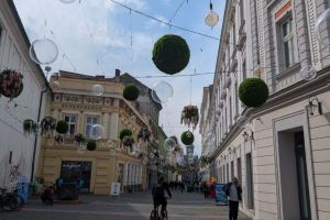 Ce facem astăzi, 19 aprilie 2026, în Timişoara?