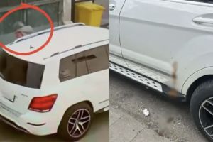 Incident şocant într-un mare oraş. O femeie a folosit o maşină parcată pe post de toaletă