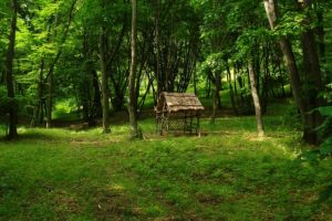 FOTO. Muntii Macinului, in cursa pentru Destinatia Anului 2026. Mai sunt numai 7 zile pana la incheierea votului! 