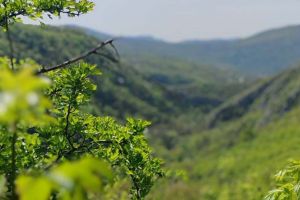 FOTO. O incursiune în istoria croaţilor din Caraşova, traseu tematic nou în Parcul Semenic – Cheile Caraşului