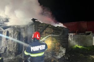 Incendiu nocturn cu o victimă carbonizată, în Viişoara