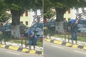 FOTO/ ȘTIREA TA: ”Suporturile de muşcate pe care Primăria Sebeş a dat 480.000 de lei, sunt rupte şi ruginite după numai un an”