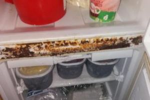 Produse expirate şi frigidere cu rugină la o shaormerie din Cluj! Inspectorii OPC au confiscat peste 23 kg de carne FOTO