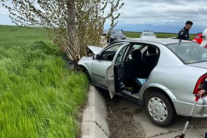 Tragedie pe şosea. O femeie de 83 de ani şi-a pierdut viaţa într-un accident rutier