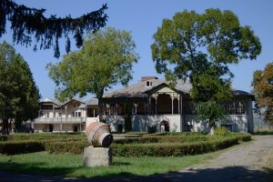 Au devastat un monument istoric şi au plecat cu bunuri din casă. Opt suspecţi au fost identificaţi