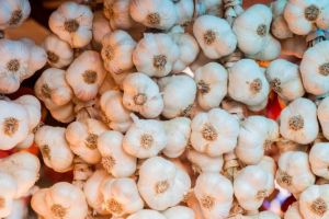 Vesti bune de la MADR! Se acorda sprijin pentru cultivatorii de usturoi (DOCUMENT)